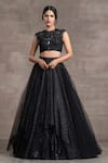 Tarun Tahiliani_Black Embroidery Mirror And Mukaish Work Round Lehenga Set _Online_at_Aza_Fashions