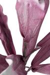Buy_H2h_Purple Flowers, Leaves And Covered Artificial Gladiola Leafs - Set Of 2_Online_at_Aza_Fashions