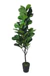 H2H_Green Polyester And Plastic Fiddle Leaf Artificial Plant _Online_at_Aza_Fashions