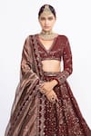 Shop_Vvani by Vani Vats_Brown Velvet Dupatta Tissue Embroidery V Neck Bridal Lehenga Set _Online_at_Aza_Fashions