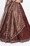 Vvani by Vani Vats_Brown Velvet Dupatta Tissue Embroidery V Neck Bridal Lehenga Set _at_Aza_Fashions