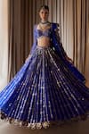 Buy_Vvani by Vani Vats_Blue Floral Mirror Embroidered Lehenga Set_at_Aza_Fashions