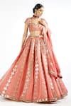 Vvani by Vani Vats_Pink Lehenga And Dupatta Satin Organza Embroidered Chandelier Drop Bridal Set _Online_at_Aza_Fashions