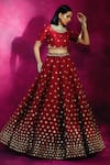 Buy_Vvani by Vani Vats_Red Raw Silk Embroidered Lehenga Set _at_Aza_Fashions