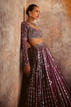Vvani By Vani Vats_Wine Georgette, Satin, Organza Mirrors Linear Drop Embellished Lehenga Set _at_Aza_Fashions