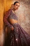 Buy_Vvani By Vani Vats_Wine Georgette, Satin, Organza Mirrors Linear Drop Embellished Lehenga Set 