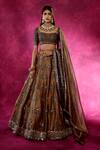 Buy_Vvani by Vani Vats_Brown Blouse Embroidered Lehenga Set_at_Aza_Fashions