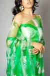 Buy_SAKSHAM & NEHARICKA_Green Silk Organza Saree With Blouse Fabric _Online_at_Aza_Fashions