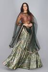 Buy_Yavi_Green Net Embroidered Dupatta _at_Aza_Fashions