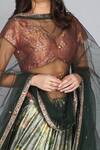 Buy_Yavi_Green Net Embroidered Dupatta _Online_at_Aza_Fashions