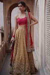 Buy_Rajiramniq_Gold Tissue Silk Embroidery Round Lehenga Set _at_Aza_Fashions