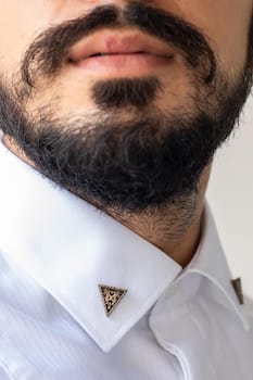 Triangle Shield Collar Tips
