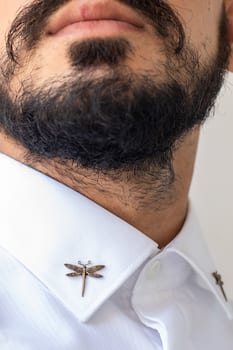 Dragonfly Collar Tips