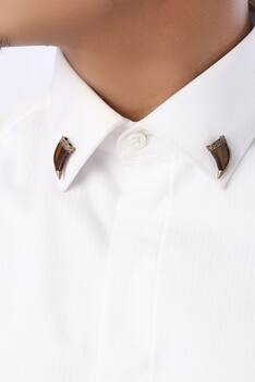 Emblem Brooch & Tiger Eye Collar Tips Set