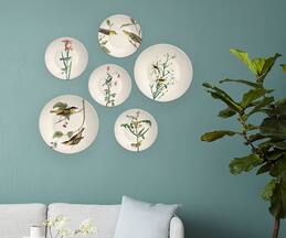 The Quirk India Indian Birds Decorative Wall Plates (Set of 6)
