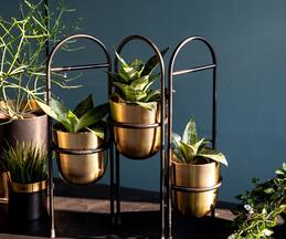 Logam Cosmic Planter With Stand