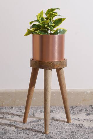 Amoli Concepts Circular Shaped Planter With Stand