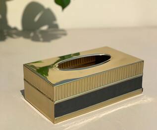 Mason Home Luxor Tissue Box