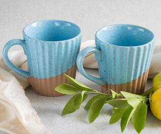 The Table Fable Set Of 2 Dual Toned Mugs