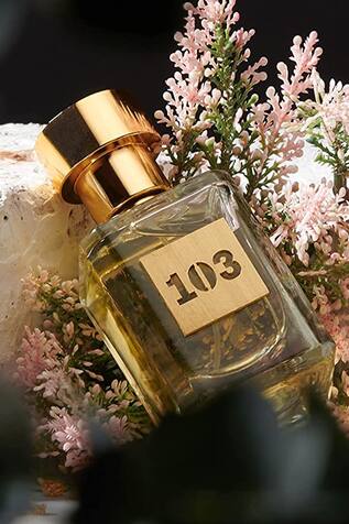 Wisdom Floral Gourmand & Wood Fragrance Perfume