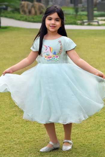 Organza Dress: Buy Organza Dress Online 