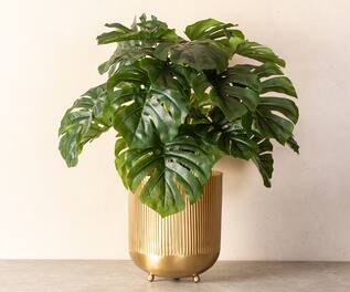 The Decor Remedy Ripple Cut Brass Planter
