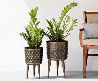 The Decor Remedy Polka Dot Hammered Planters (Set of 2)