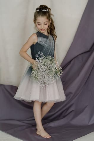 Ombre Sequin Embroidered Dress 