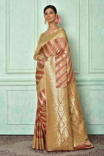 Samyukta Singhania Stripe & Garden Pattern Saree With Running Blouse