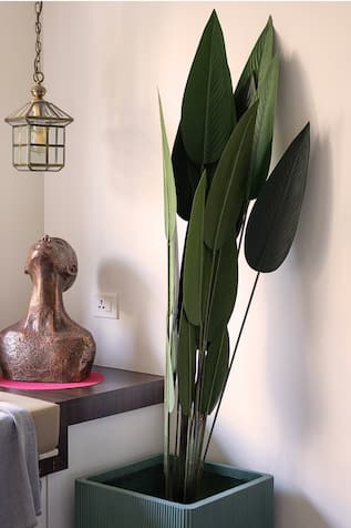 Real Touch Artificial Plant 