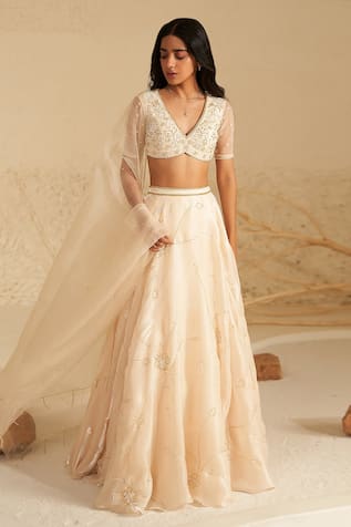 Zoon Aari Hand Embroidered Lehenga Set 
