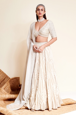 Reeti Arneja Moonlight Sequin Flower Embroidered Lehenga Set