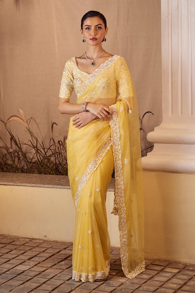 Sanjana reddy Designs Border Embroidered Saree With Blouse
