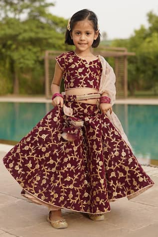 Velvet Embroidered Lehenga Set 