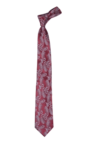 Tossido Paisley Print Tie