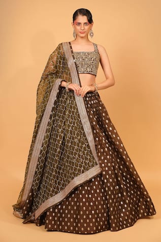 Neha Khullar Banarasi Organza Lehenga Set 