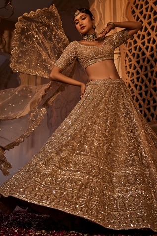 Kalighata Zarin Sequin Embroidered Lehenga Set