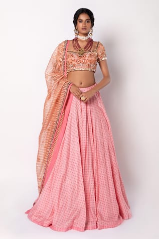 Labbada Block Print Lehenga & Floral Embroidered Blouse Set 