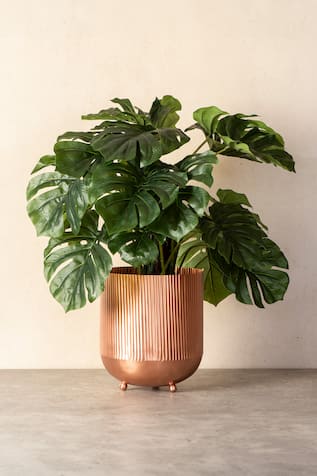 Ripple Cut Brass Planter 