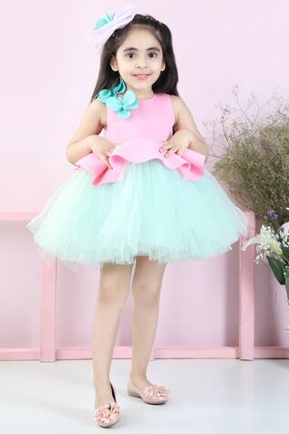 The Little Celebs Floral Applique Dress With Hair Band 