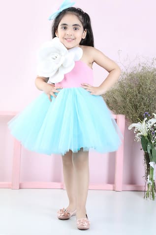 The Little Celebs Two Tone Side Applique Dress 