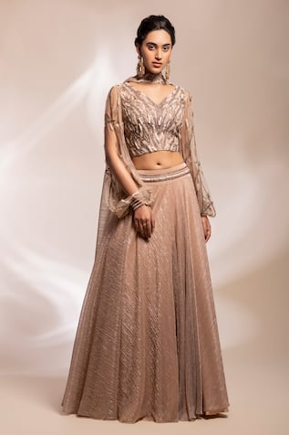 GEE SIN by Geetanjali Singh Embroidered Blouse With Shimmer Skirt Set 