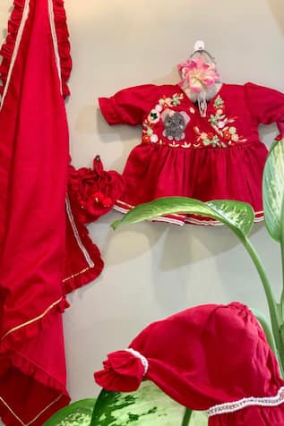 Elephant Flower Embroidered Jamna Dress Set 