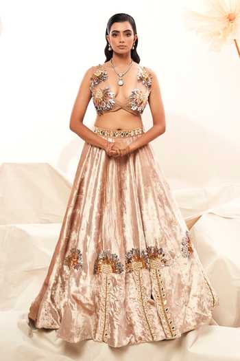 Payal & Zinal Velvet Embroidered Lehenga & Blouse Set 