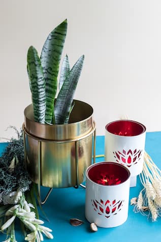 Waves & Lotus Gift Set 