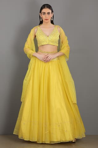 Asaga Embroidered Lehenga Set 