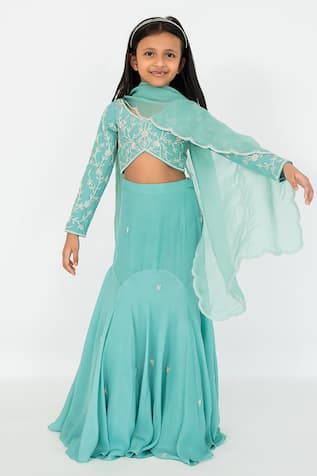 Flower Vine Embroidered Blouse Lehenga Set 