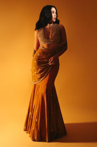 Reeti Arneja Pre-Draped Saree With Tribal Embroidered Blouse 