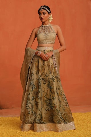 Archana Jaju Floral Jaal Handpainted Lehenga Set 