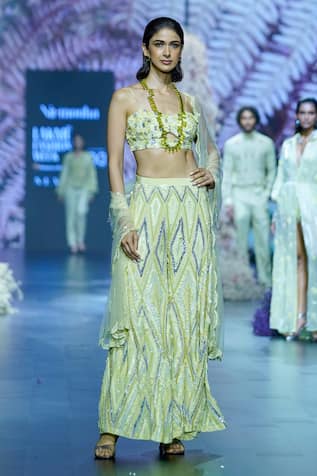 Nirmooha Net Scallop Border Embroidered Dupatta 
